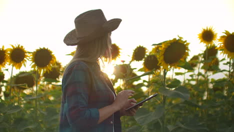 A-female-student-walks-across-a-field-with-large-sunflowers-and-writes-information-about-it-in-her-electronic-tablet.